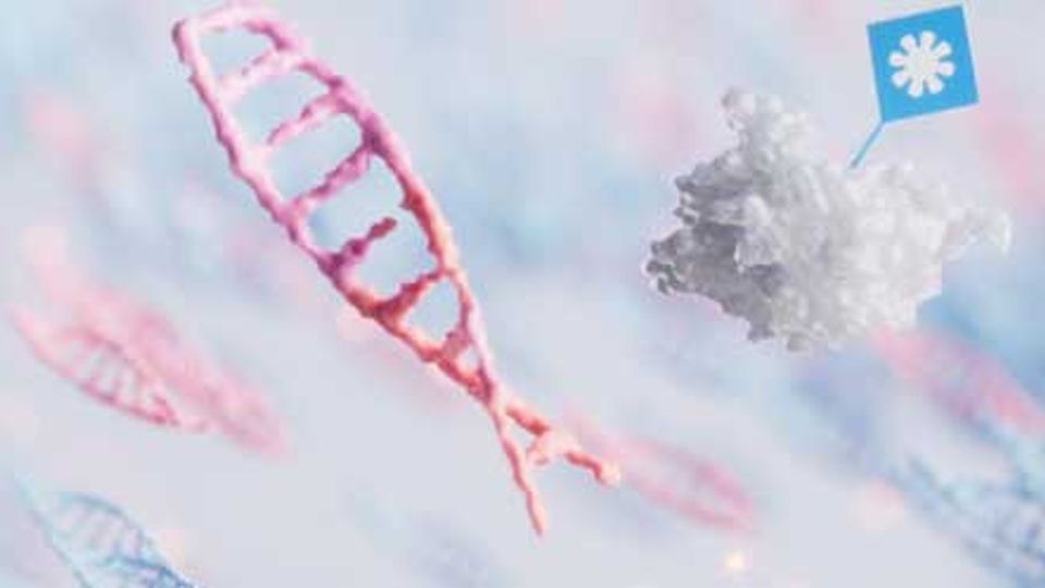 DNA tagging enzymes target unmethylated DNA molecules.