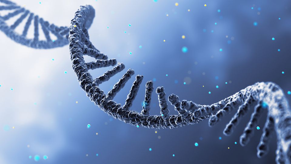 A strand of RNA coils across the image.