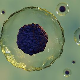 Mapping Cell Conversations Inside the Body