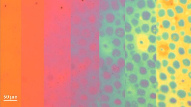 Flexible Material Changes Color and Texture Like an Octopus ...