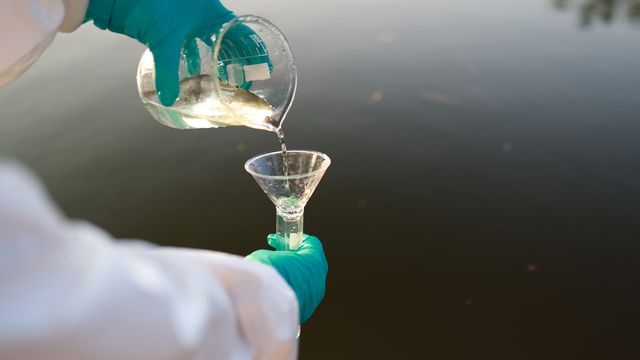 Technician pours environmental water sample through funnel for lab testing at a lake. 
