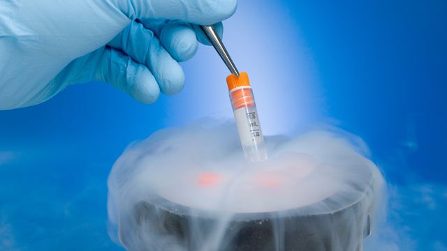 Cryopreservation freezer with gloved hand placing a sample vial into liquid nitrogen for long-term biological storage. 