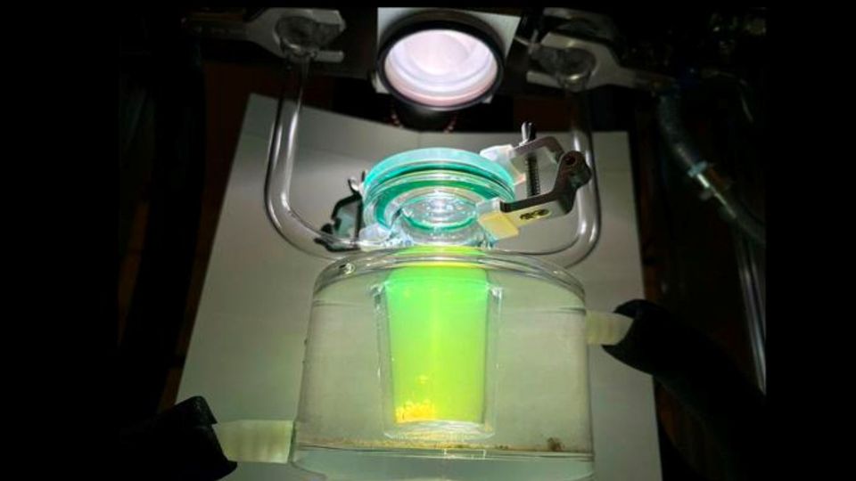 Laboratory hydrogen generator producing gas inside a glass reactor under illumination.