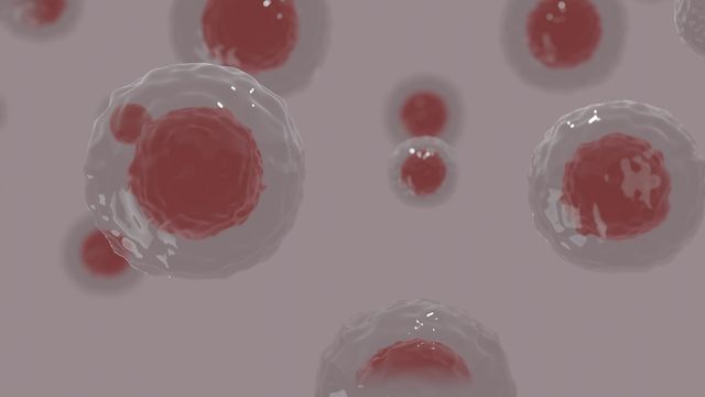 Study Shows How the Cell Repairs Its Recycling Stations