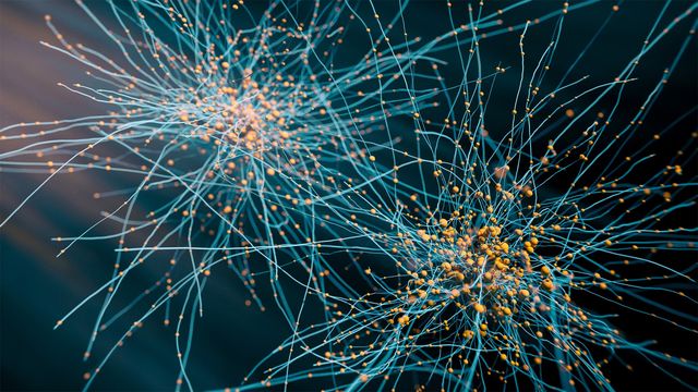 Neurons branching out to form connections, with molecules visible to illustrate drug targets. 