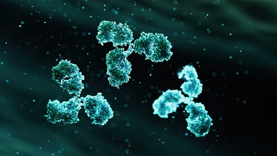 3D rendering of antibodies floating in a dark fluid environment, representing immune response.