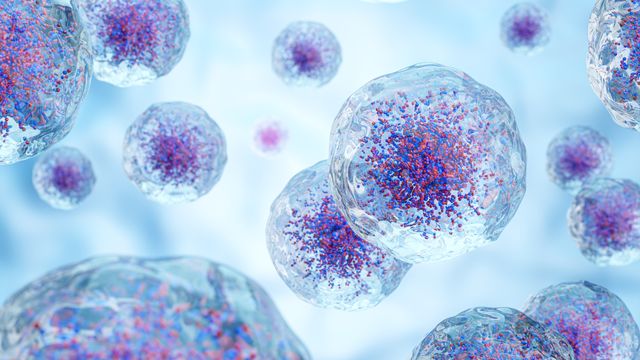 3D rendering of immune cells with surface markers, representing CD47 signaling in cellular defense. 