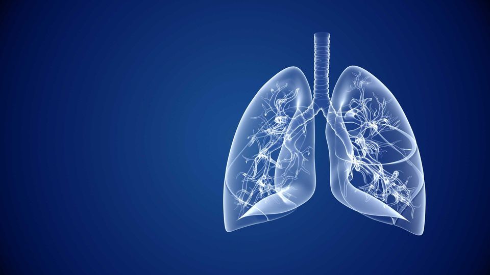 Epigenetic Inhibitor Targets ATAC To Halt Lung Cancer Growth ...