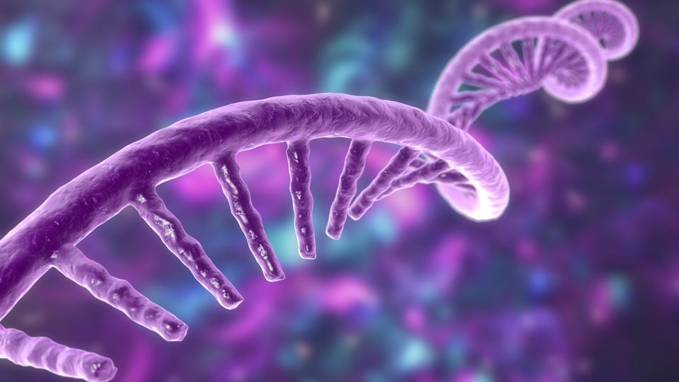 Purple 3D illustration of an RNA strand, emphasizing its structure in molecular biology.