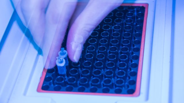 Gloved hand placing sample vials into a PCR plate, preparing for a diagnostic assay. 