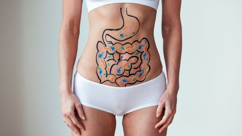 Illustration of gut bacteria in the digestive system on a woman's abdomen.