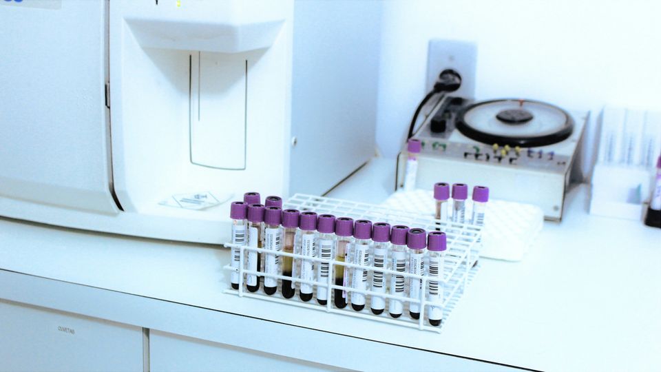 Plasma Cell and Antibody Levels Linked to Better Cancer Immunotherapy ...