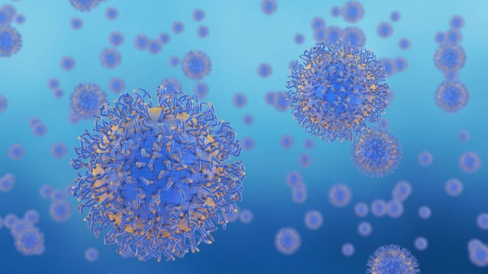 3D illustration of spherical protein molecules with surface structures in a biological environment.