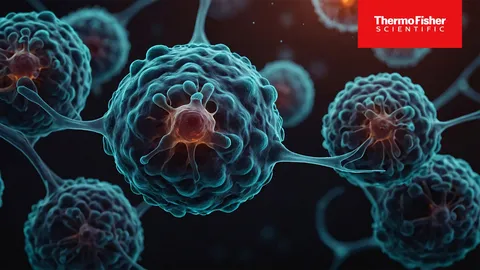 3D illustration of cells interacting, representing circulating biomarkers in biomedical research with Thermo Fisher logo.