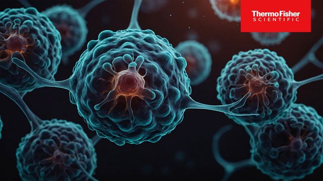 Using Circulating Biomarkers to Support Precision Cancer Research"' data-event="clickContentCardButton" data-contentid="409037" data-contenttype="Webinar" data-destinationurl="using-circulating-biomarkers-to-support-precision-cancer-research-409037"…