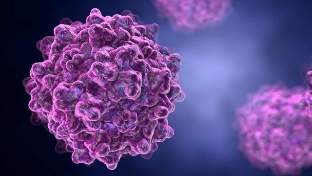 3D illustration of adeno-associated virus particles used in AAV quality control testing. 