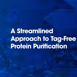 Abstract blue molecular structures illustrating sample preparation workflows. 