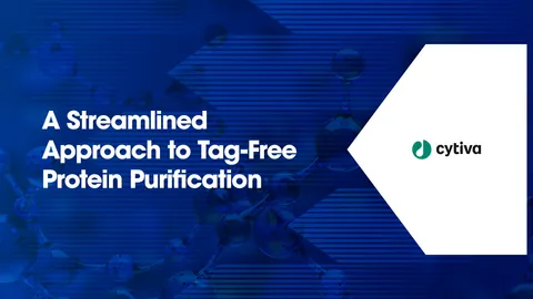 Abstract blue molecular structures illustrating sample preparation workflows.