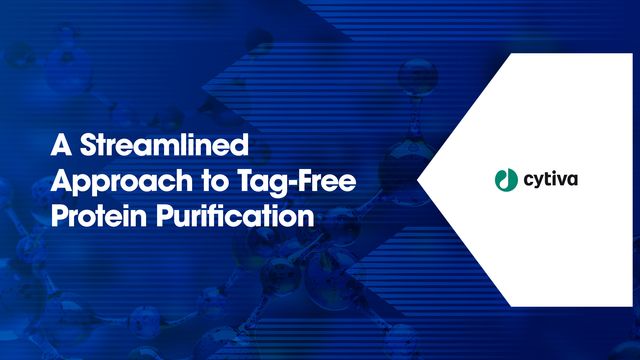 Abstract blue molecular structures illustrating sample preparation workflows. 