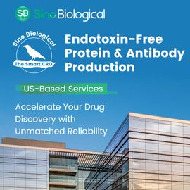 Sino Biological banner promoting endotoxin-free protein and antibody production, US-based services, over modern lab building 