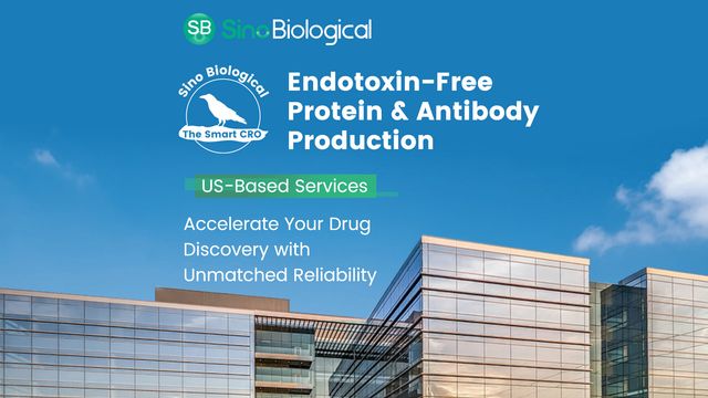 Sino Biological banner promoting endotoxin-free protein and antibody production, US-based services, over modern lab building 