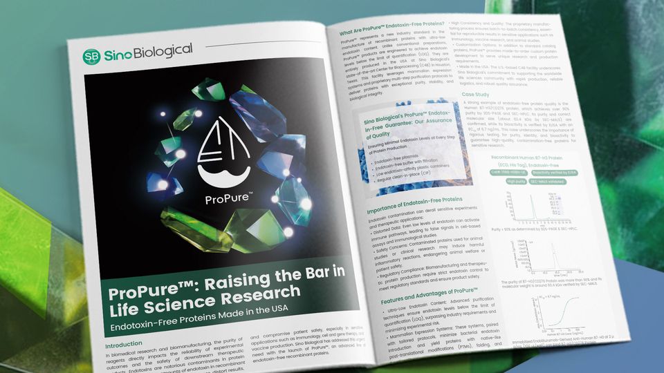 Open magazine spread by Sino Biological showcasing ProPure branding, endotoxin-free protein research visuals, and technical charts