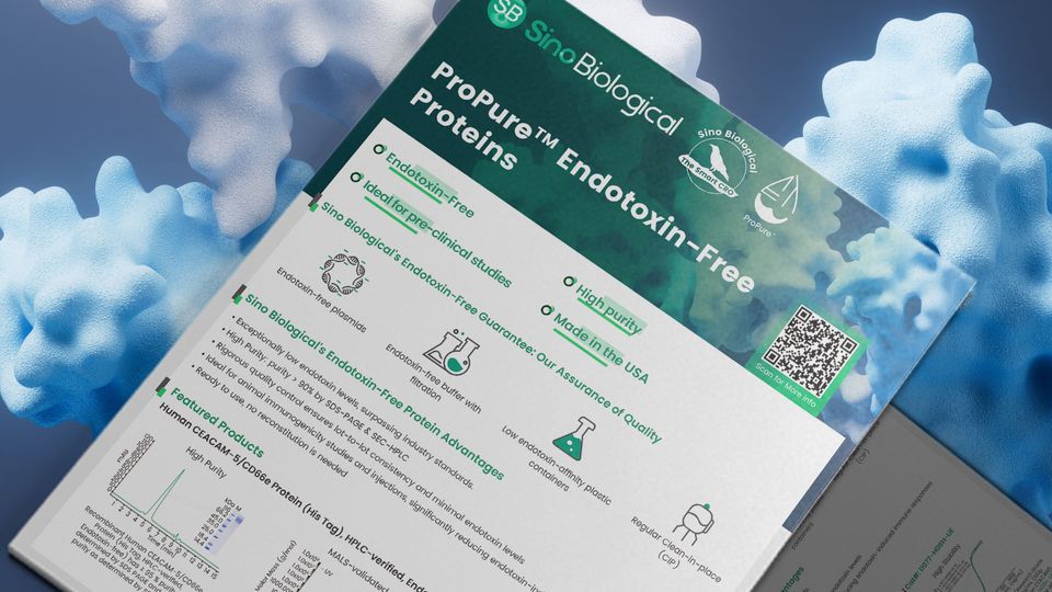Sino Biological ProPure™ endotoxin-free proteins flyer highlighting high purity, U.S. manufacturing, quality assurance, and product features