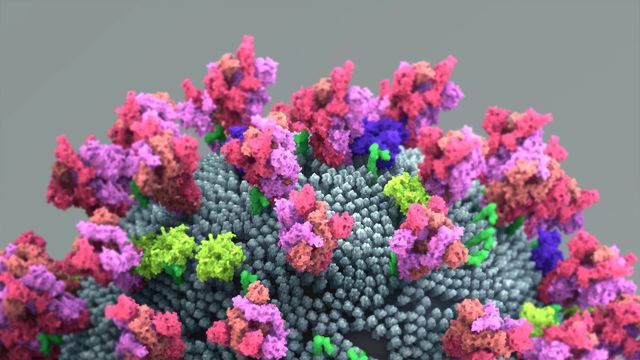 3D molecular illustration of a protein structure highlighting regions used in peptide mapping analysis. 