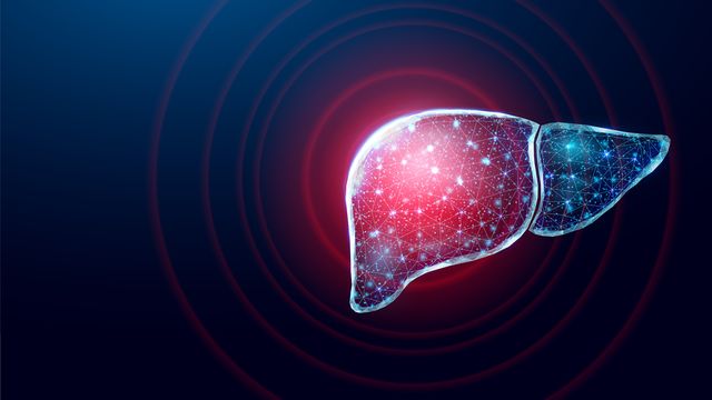 Engineered Liver System Mimics Disease State and Drug Response