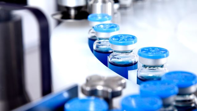 Study Reveals How Gut Bacteria May Enhance Vaccine Protection