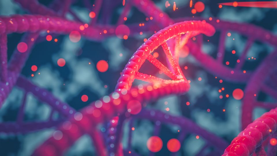 A DNA double helix in red.