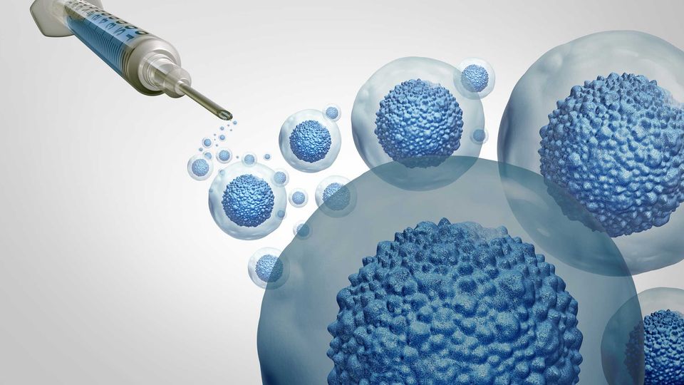 Illustration of a syringe and a group of cells, representing cell therapy. The cells are clear with a blue nucleus and are floating on a white background. 