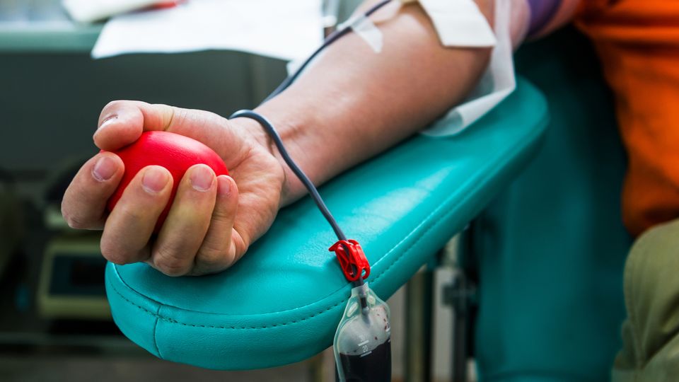 A close up of a man's arm during a blood donation, donor is squeezing a stress ball while tubing and collection bag fill with blood.