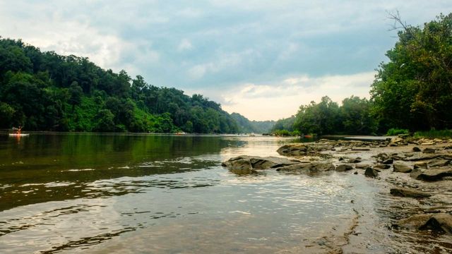  Potomac River flows bordered by trees and rocks. 