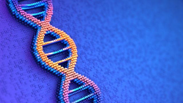 Illustration of a DNA double helix made up of orange, yellow, pink and blue cubes on a dark purple background, representing DNA sequencing. 