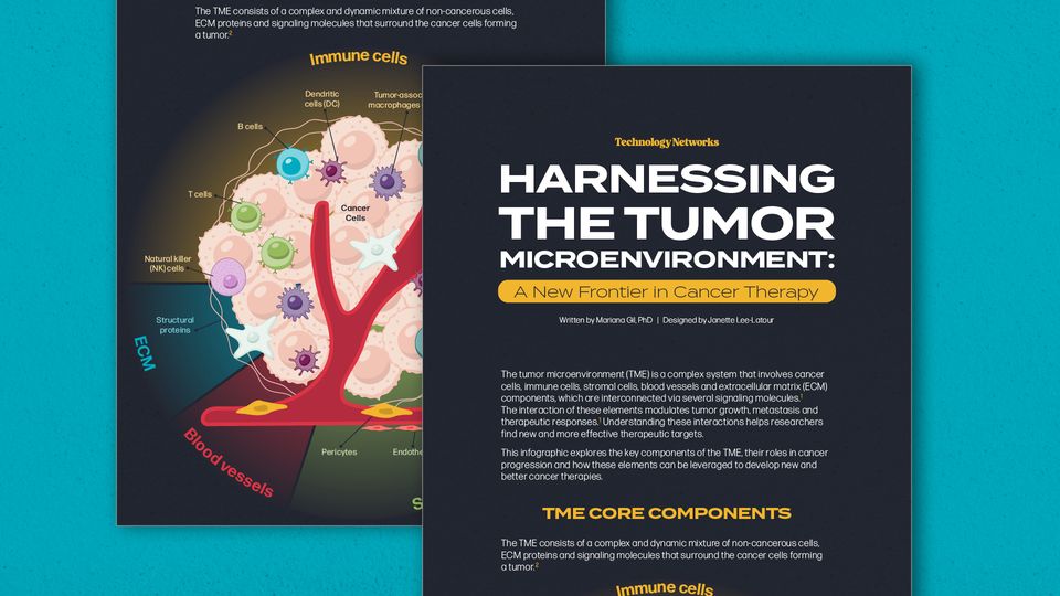 Tumor Microenvironment: Targets & Treatments