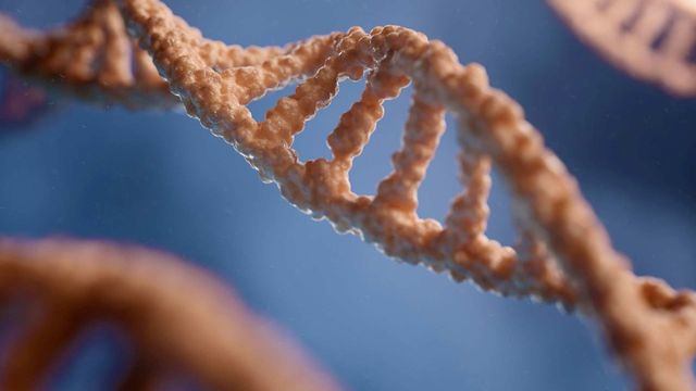 Illustration of a DNA double helix representing gene regulation. 