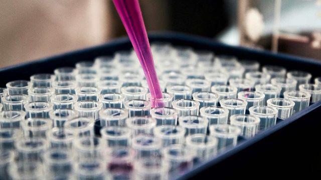 Pipette dispensing purple solution into microplate wells for chemistry automation. 