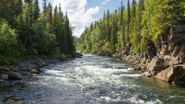 Floods Are the Biggest Drivers of Plastic Pollution in Rivers