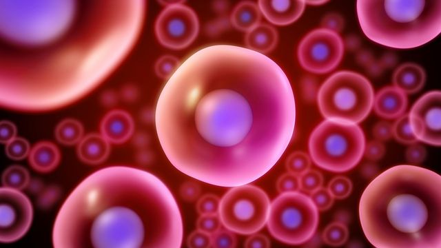 New Photoreceptor Discovered in Deep-Sea Fish Eyes