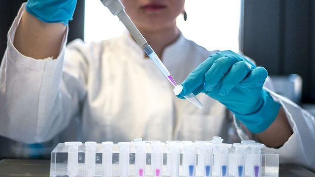 Scientist pipetting samples into test tubes during laboratory research experiment. 