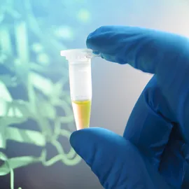 increase glutathione Glutathione and Side Effects: What You Need to Know for Better Health main image 0
