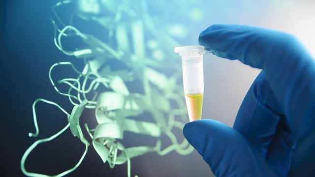Gloved hand holding microcentrifuge tube with purified protein sample and structure model. 