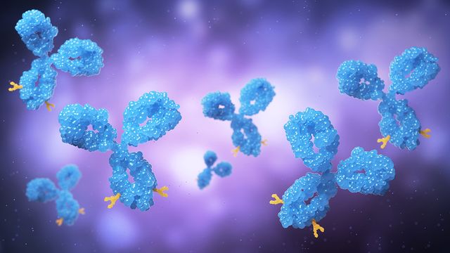 3D illustration of monoclonal antibodies used in therapeutics targeting disease. 