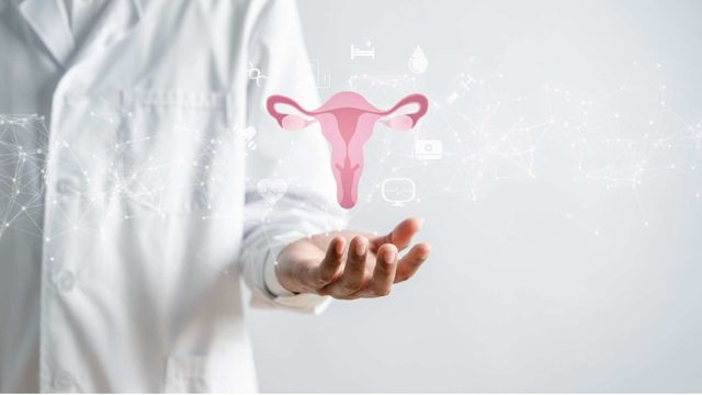Doctor holding holographic female reproductive system illustration for gynecology care. 