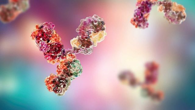 Illustration of typhoid bacteria against a soft gradient background. 