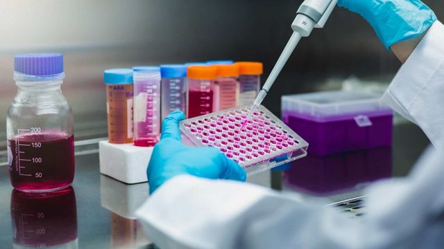 Laboratory researcher using pipette to load samples into a microplate for biomedical testing. 