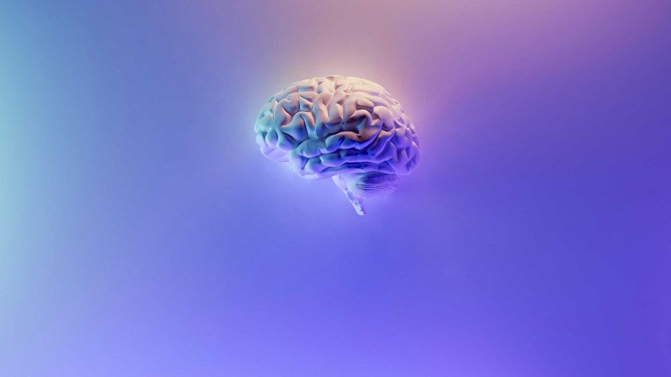 3D illustration of a human brain on gradient background, symbolizing neuroscience research.