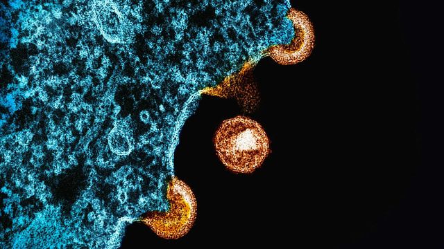 Antibody 007 Offers Hope for HIV Vaccine and Treatment