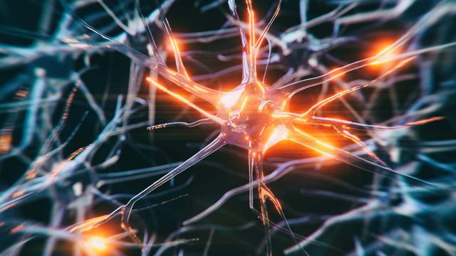 An orange neuron surrounded by gray neurons, illustrating chronic pain and cell-specific gene therapy targeting. 